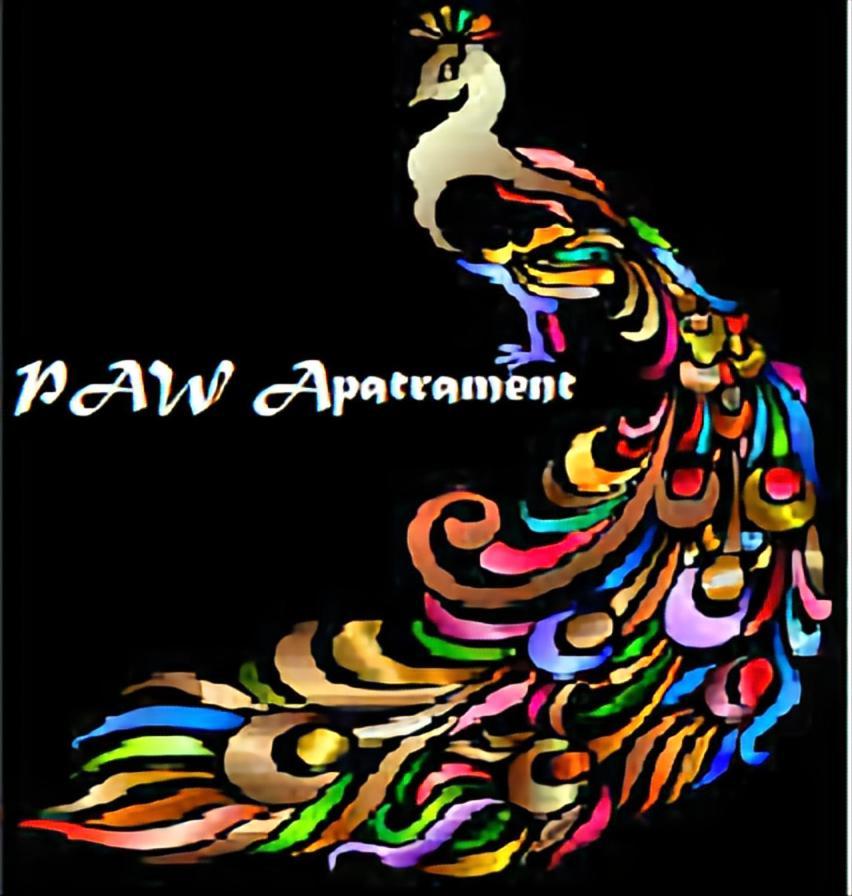 Paw Apartament. Rodzinny, Super Apartament. 科沙林 外观 照片